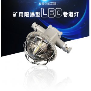 DGS18/127L矿用隔爆型巷道灯 18W 127V LED照明灯 防爆LED巷道灯