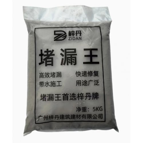 堵漏王